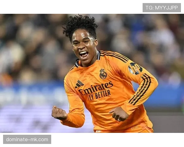 恩德里克帕尔梅拉斯时期早期荣誉解析