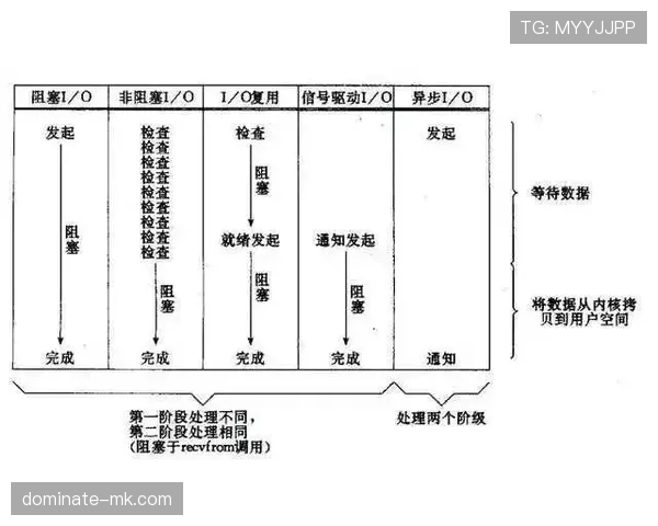莱奥效率与观感反差的成因解析